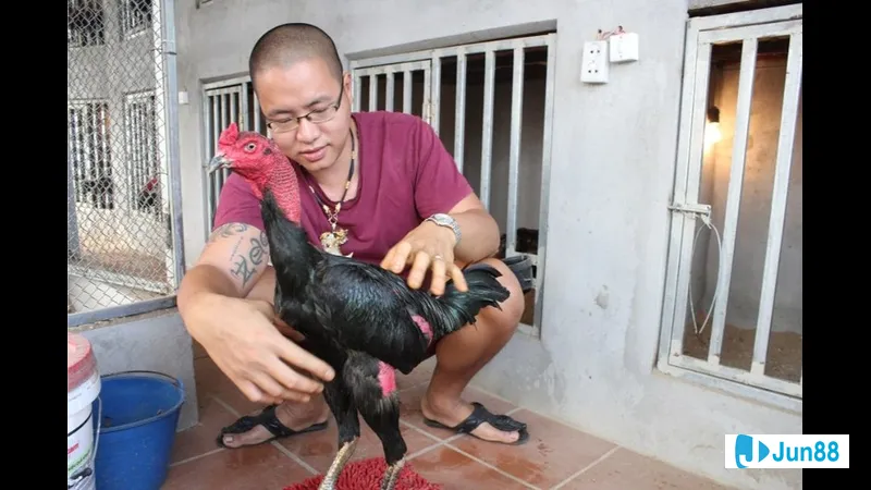 Sự lì đòn và ngoại hình