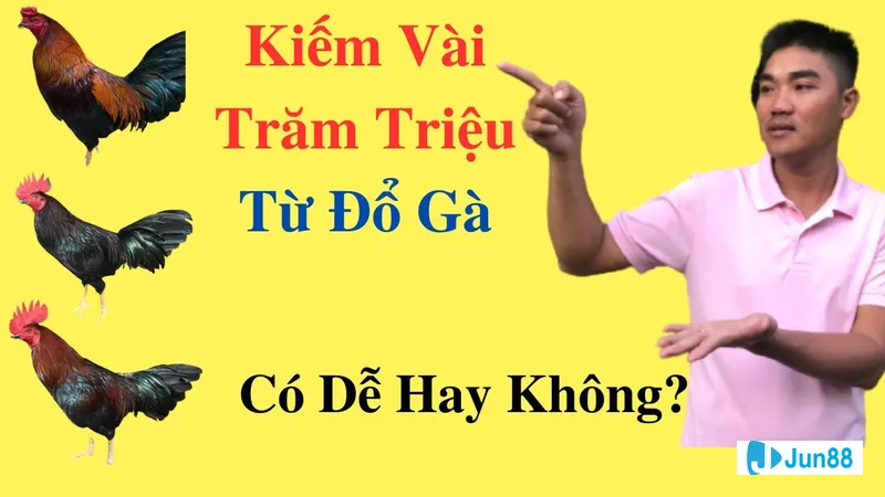 Gà đang được chăm sóc sau khi đổ