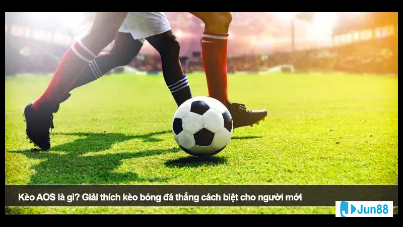 Cách đặt cược và tính điểm thưởng trong Cách đặt cược và tính điểm thưởng trong